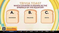 Trivia Toast