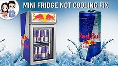 Red Bull Mini Fridge not cooling repair