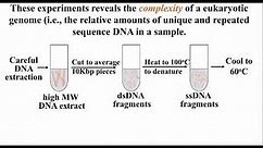238 Discovery of Repetitive DNA