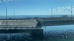 First video of damage to Crimean bridge surfaces after reported strike