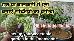 छत या बालकनी में बनाइये सब्जियों का बगीचा/How to start vegetable garden in containers