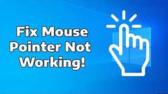 How To Fix Mouse Pointer Not Working on Windows 11 | PC & Laptop