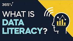 What is Data Literacy ?