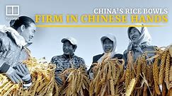 China adopts GM technology for corn, soybeans in major food security manoeuvre