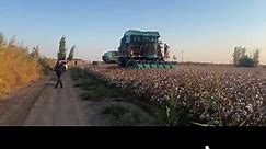Have any of you guys used this machine?#cotton #picker #machine #farm #picking
