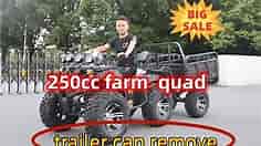 250cc farm atv quads bike for sale atv quad all terrain vehicle
