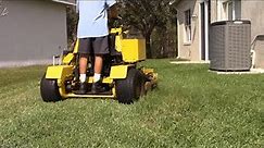 Lawn care vlog #49 Great Dane mowing