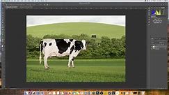 How to Insert an Image in Photoshop