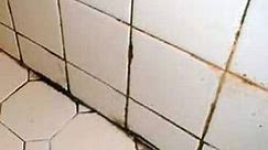 Black Mold on Grout