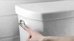 Kohler Plumbing Dual Flush Toilets
