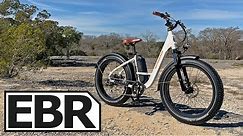 Rad Power Bikes RadRover Step-Thru 1 Review - $1.7k