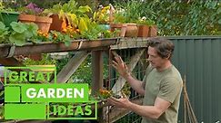 Mini Garden Project | GARDEN | Great Home Ideas