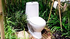 5 Best Off-Grid Toilet Options to Save Water and Manage Waste