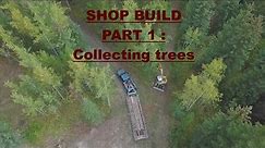 Shop Build Series Part 1 |Trees/Poles for my Pole Barn Shop | Cuttin down and Haulin away 100' Trees
