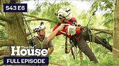 This Old House | Tree Dr. House Call (S43 E6) FULL EPISODE