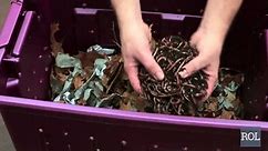 How To Compost Indoors With Worms