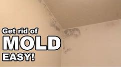 How to Get Rid of Mold in the Bathroom Easy