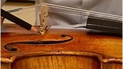 Instrument Care Tip: Bridge... - Amorim Fine Violins Cremona