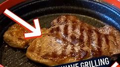 Is It Possible To Grill In Your Microwave? - Freakin' Reviews