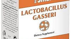 Supersmart - Lactobacillus Gasseri 12 Billion CFU per Day - Probiotic Supplement | Non-GMO & Gluten Free - 60 DR Capsules (Delayed Release)