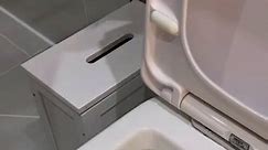 Life Hack to Unblock Toilet Using Washing-Up Liquid Goes Viral