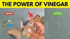 The Incredible Power of Vinegar How to Remove Tape Residue from Your Stainless Steel Fridge