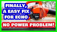 Echo Blower Bogging / Lack of Power at Full Throttle Problem Solved!