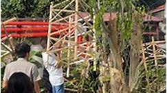 236K Tree Planting... - DepEd Tayo Mamatid SHS - Cabuyao City