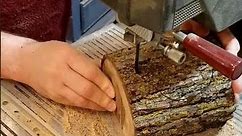 Log Craftsmanship: Creating a Unique Bandsaw Box