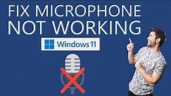 How to Fix Microphone Not Working on Windows 11?