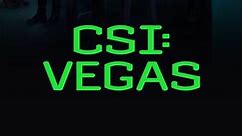 CSI: Vegas: Season 2 Episode 6 There's the Rub