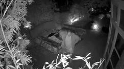 CCTV footage shows Paul Pelosi attack suspect breaking into house