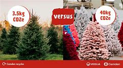 Real vs Artificial Christmas trees