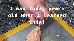 I just learned how to quickly and easily remove the tendon from chicken tenderloins!! #todayyearsold #learneditontiktok #cookingtip