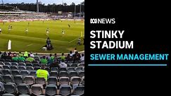 Concerns raised about stench at Canberra Stadium