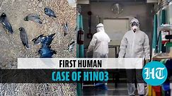 China: First human infection of H10N3 virus reported amid Covid; pandemic risk?