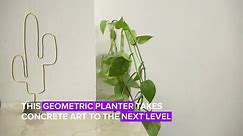 Aesthetics on a Budget: Geometric cement planter