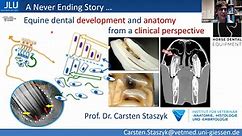 Webinar HDE - A Never Ending Story - Equine Dental Development and Anatomy from a Clinical Perspective - Carsten Staszyk