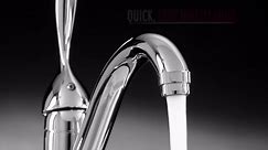 Delta Classic Single-Handle Standard Kitchen Faucet in Chrome 100-DST