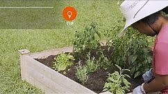 How to Get Started Growing Organic Gardens | The Home Depot