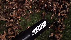 ECHO 233 MPH 651 CFM 63.3cc Gas 2-Stroke Backpack Leaf Blower with Tube Throttle PB-755ST