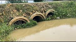 Unclogging Three Culvert Drain Clogged By Plants To Bring Water To The Rice Fields #unclogging