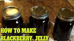 BLACKBERRY JELLY - STEP BY STEP - EASY…DELICIOUS RECIPE