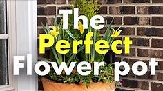 The Perfect Flower Pot for Grandma || Wyse Guide 💐🪴
