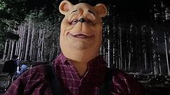 ‘Winnie the Pooh’ film pulled from Hong Kong cinemas