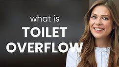 Understanding "Toilet Overflow": A Guide for English Language Learners