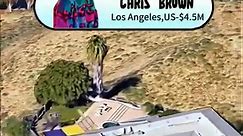 This is Chris Brown’s house👏#mansion #chrisbrown #house #celebrity #foryou #foryoupage #fyp #luxuryhomes | Real Estate of Stars