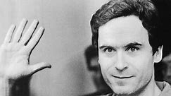 Serial Killer Documentaries on Netflix: Conversations With a Killer: The Ted Bundy Tapes, Night Stalker: The Hunt for a Serial Killer & More