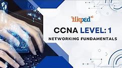 Module 2 Network components | CCNA level 1: Networking Fundamentals | Networking