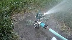 The Sprinkler